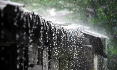ছবি -সংগৃহীত