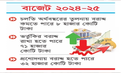 ভর্তুকি ও প্রণোদনায় বরাদ্দ কমবে
