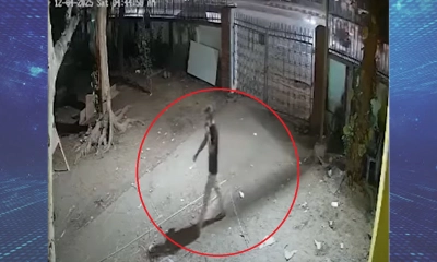 আড়াই মিনিটে হাসিনার মোটিফে আগুন লাগিয়ে চলে যায় যুবক: সিসিটিভি ফুটেজ