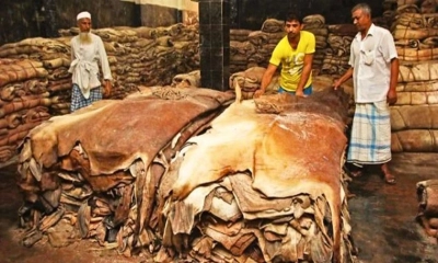 চামড়ায় সেই পুরোনো চক্র এবারও ন্যায্য দাম মিলেনি