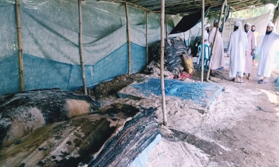 এখনো বিক্রি হয়নি কোরবানির চামড়া