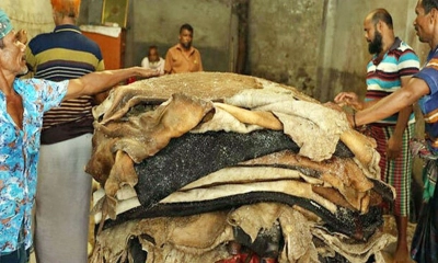 কোরবানির চামড়ার সর্বনিম্ন দাম ১১৫০ টাকা, ঢাকায় ১৩৫০ টাকা