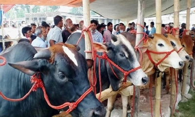 ঢাকা উত্তরে চূড়ান্ত হয়েছে মাত্র ২টি