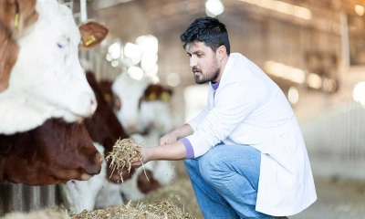 কোরবানির আগে পশুর যত্ন নেওয়ার নিয়ম