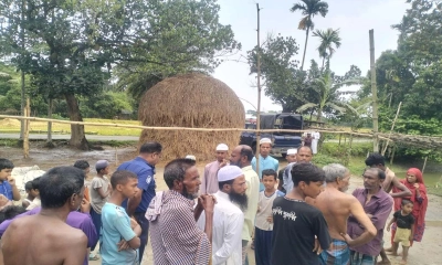 ময়মনসিংহে চুরির হিড়িক, নির্ঘুম রাত কৃষকের