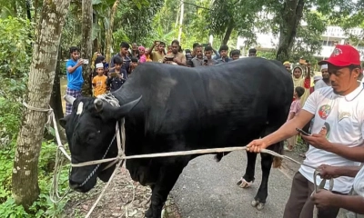 কালো মানিক নেবেন না খালেদা জিয়া, চেয়েছেন দোয়া