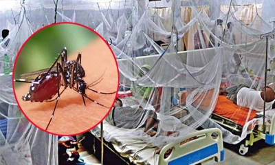 ডেঙ্গুতে কুমিল্লায় তিন নারীর মৃত্যু, দুই স্থান ঝুঁকিপূর্ণ ঘোষণা