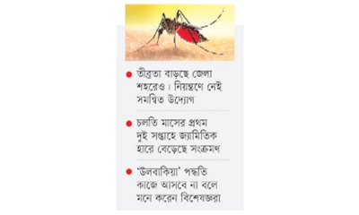 বৃষ্টিতে বাড়ছে ডেঙ্গু,অবাস্তব পরিকল্পনার শঙ্কা