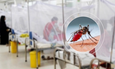 ডেঙ্গুতে একদিনে হাসপাতালে ভর্তি ৩৫২,  একজনের  মৃত্যু