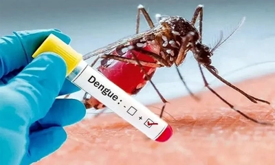 ডেঙ্গুর ‘রেড জোনে’ রাজধানীর ১৩টি ওয়ার্ড