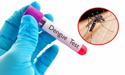 জ্যামিতিক হারে বাড়ছে ডেঙ্গু, বিপদজনক পরিস্থিতির আশঙ্কা