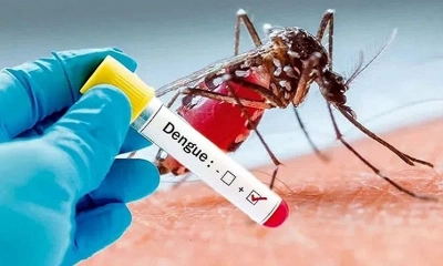 একদিনে ডেঙ্গুতে মৃত্যু ২, আক্রান্ত ১৫৯