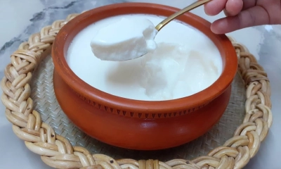 টক দই। ছবি: সংগৃহীত