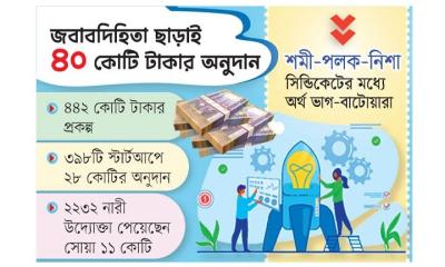 অনুদানের নামে আইডিয়া  প্রকল্পে হরিলুট