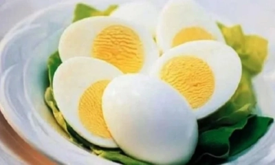 ডিম খাওয়ার উপকারিতা। ছবি: সংগৃহীত
