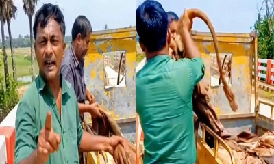 সিলোনিয়া নদীতে কোরবানির পশুর চামড়া ফেলে দেন শুক্কুর আলী।      ছবি- সংগৃহীত