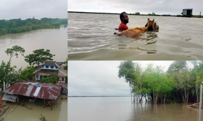 সুন্দরবন থেকে চরফ্যাশন : পানিতে ‘আটকা’ জীবন
