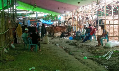 গাবতলীর হাটে গরুর সংকট, বাড়ছে ক্রেতার চাপ
