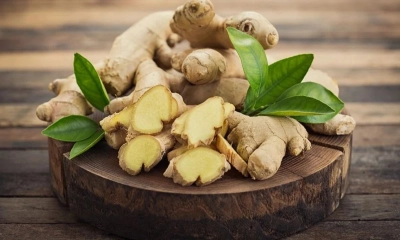 আদার উপকারিতা-অপকারিতা