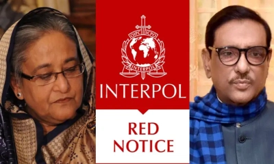 হাসিনাসহ সাবেক মন্ত্রীদের বিরুদ্ধে ইন্টারপোলে রেড অ্যালার্ট জারি