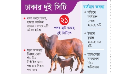 বিএনপি জামায়াত এনসিপি মিলেমিশে হাটের ইজারায়