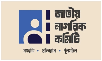 বসন্ত উৎসবে বাধা, অবস্থান জানাল নাগরিক কমিটি