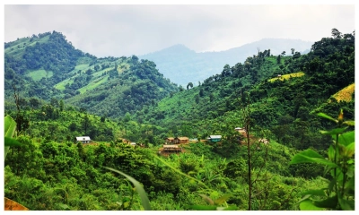 বান্দরবানে  ২০ শ্রমিককে অপহরণ
