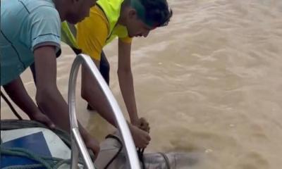 কুমিল্লায় বন্যার পানিতে ভেসে উঠলো মৃতদেহ