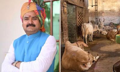 গোয়ালঘরে শুলে ও পরিষ্কার করলেই ক্যানসার থেকে মুক্তি!