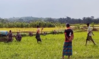 আসামের শিক্ষককে বাংলাদেশে ঠেলে পাঠাল বিএসএফ
