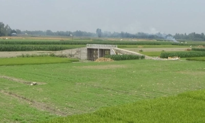 অর্ধকোটি টাকার সেতুতে নেই সংযোগ সড়ক, জনদুর্ভোগ চরমে