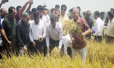 ভয়ের কারণ নেই, সীমান্ত সম্পূর্ণ নিরাপদ : স্বরাষ্ট্র উপদেষ্টা