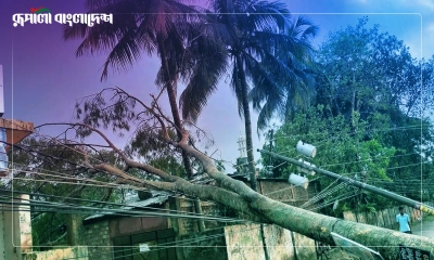 ১১ জেলায় ঘণ্টায় ৬০ কিমি বেগে ঝড়ের শঙ্কা