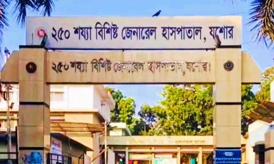যশোরে সাপের কামড়ে মেয়ের মৃত্যু, মা হাসপাতালে