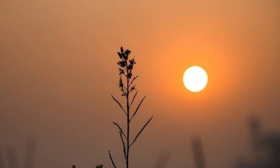 আজ বছরের বিদায়ী দিন