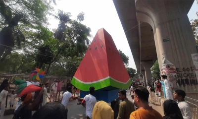 আনন্দ শোভাযাত্রায় ফিলিস্তিনের প্রতি সংহতি