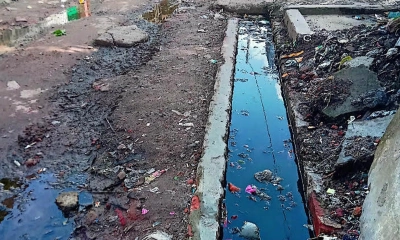 তাড়াইলে দিনে-দুপুরেও মশার উপদ্রব, ভোগান্তিতে এলাকাবাসী