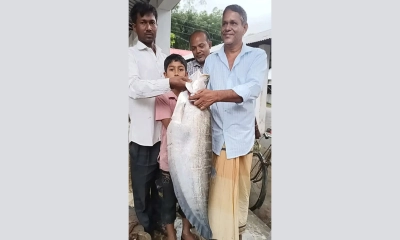 বড়শিতে ধরা পড়ল সাত কেজির চিতল