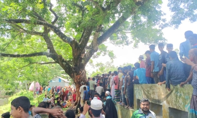 শতবর্ষী কড়াই গাছের ভিতর জ্বলছে আগুন, উৎসুক জনতার ভিড়