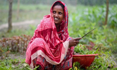 এ সময়ের কৃষি ও কৃষক