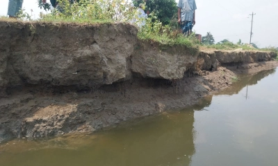 মতলবে নদীভাঙনে হুমকির মুখে শতাধিক বাড়িঘর-স্থাপনা