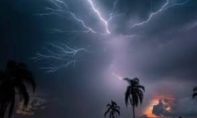 ময়মনসিংহে বজ্রপাতে গরুসহ কৃষক ও শিশুর মৃত্যু