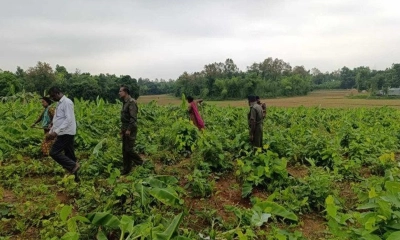 মির্জাপুরে সাড়ে সাত একর বনভূমি উদ্ধার