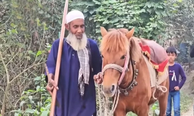 ৩ হাজার কবর খোঁড়া শয্যাশায়ী মনু মিয়ার ঘোড়াটি মেরে ফেলল দুর্বৃত্তরা