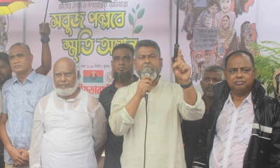 শিশু উপদেষ্টারা রাজনীতিকে কলঙ্কিত করবেন না: ফজলে হুদা