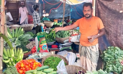নরসিংদীতে কাঁচামরিচ ৬০০ টাকা কেজি, দিশাহারা ক্রেতা
