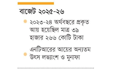 সেবা খাতে আয়ের লক্ষ্য ৪৬ হাজার কোটি টাকা