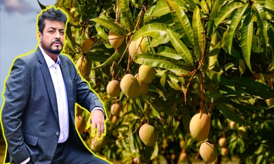 আম ব্যবসায় নায়ক ওমর সানী