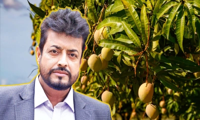 আম ব্যবসায় নায়ক ওমর সানী