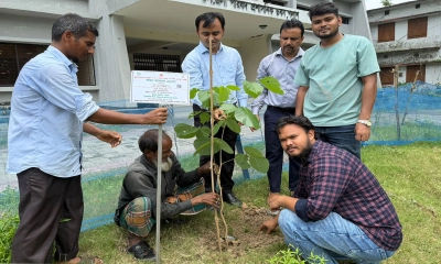 পলাশে ‘এক শহীদ, এক বৃক্ষ’ কর্মসূচি পালিত। ছবি- রূপালী বাংলাদেশ
